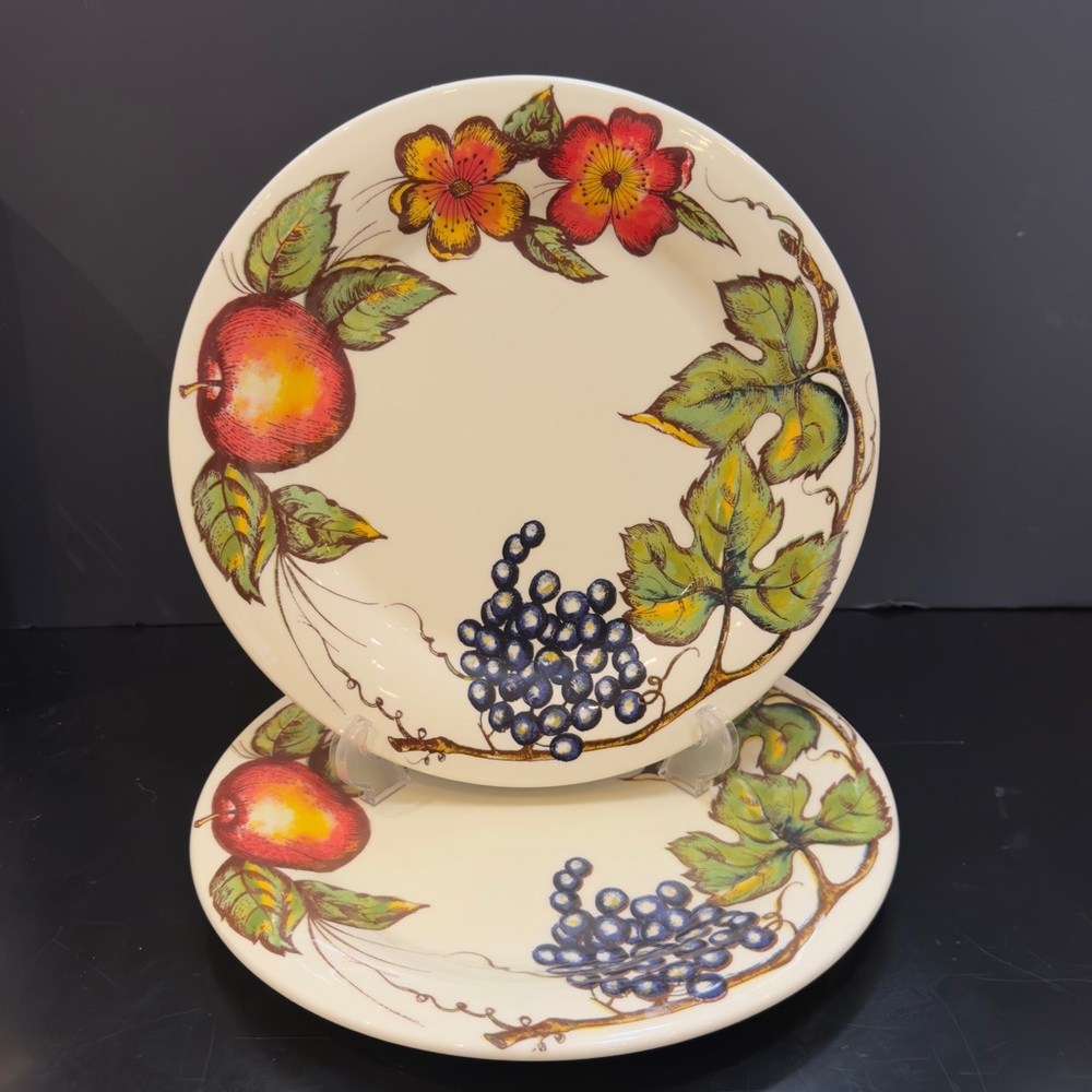 Pier 1 Harvest  Made in Italy Hand Painted 10.25” Dinner Plates Set of 2 New
